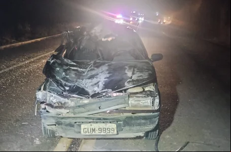 Carro ficou destruído após colidir contra animal