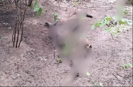 Corpo em avançado estado de decomposição encontrado no Piauí