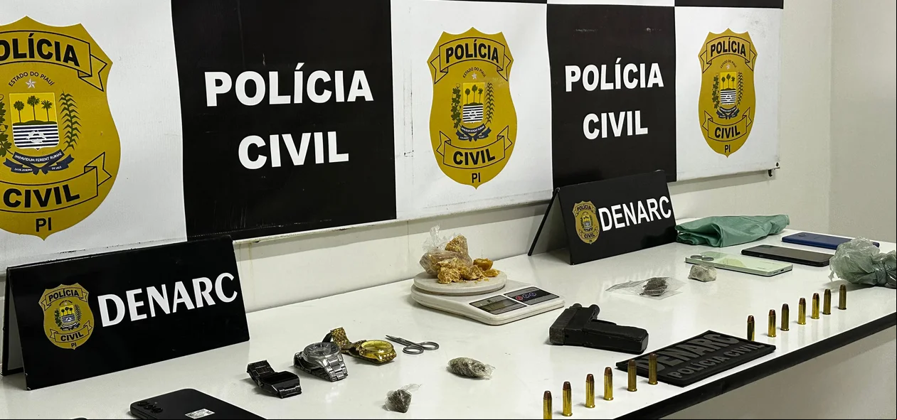 Material apreendido na operação DENARC